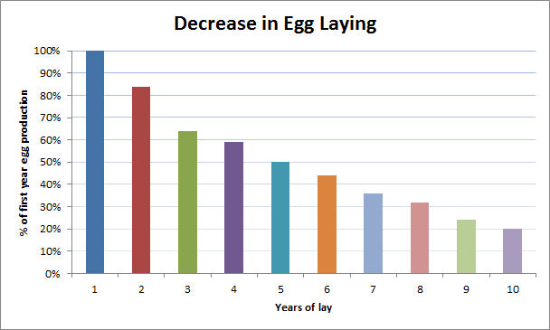 chicken egg laying chart